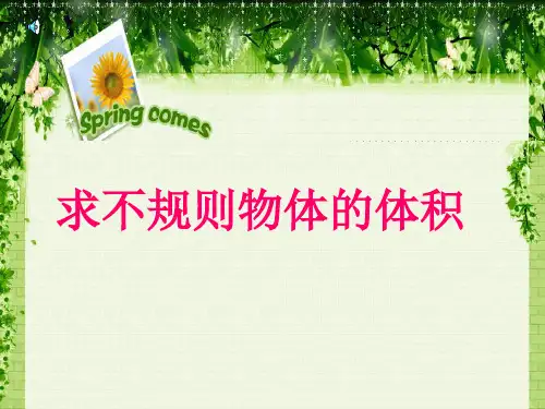 54用排水法求不规则物体体积