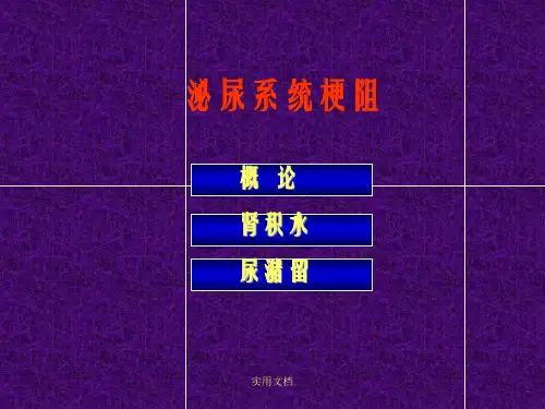 泌尿系梗阻-教学课件