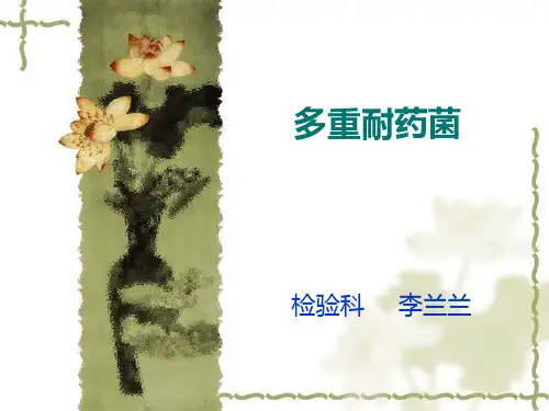 多重耐药菌