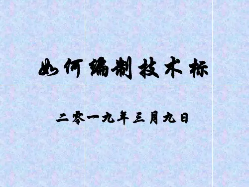 技术标编制