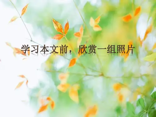中职语文基础模块下《边城》ppt课件课件PPT