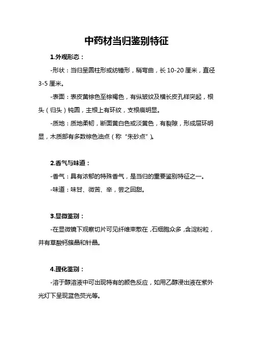 中药材当归鉴别特征