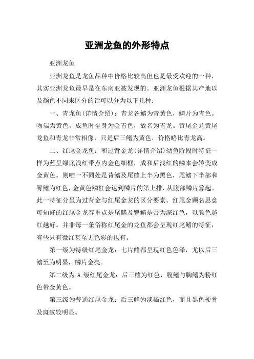 亚洲龙鱼的外形特点