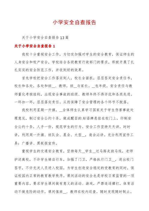 小学安全自查报告
