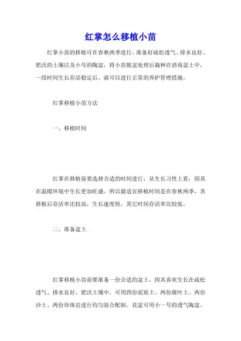 红掌怎么移植小苗