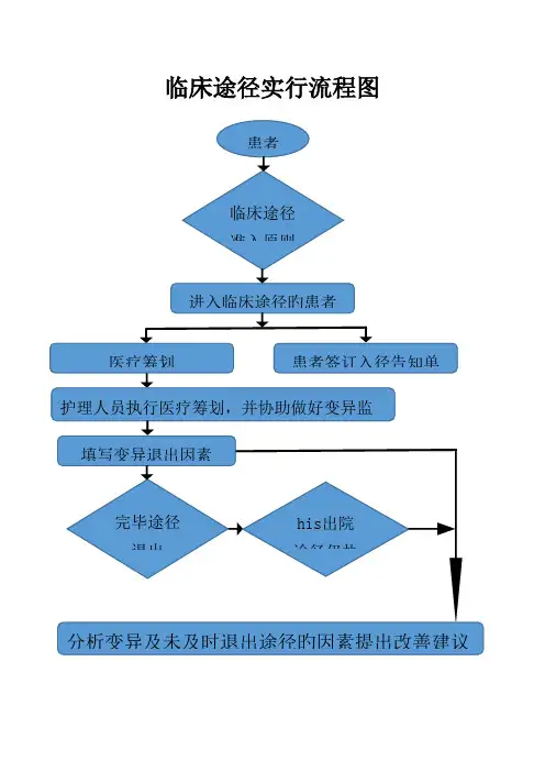 临床路径实施标准流程图