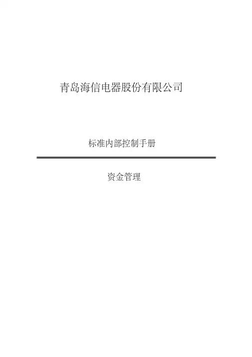 海信电器股份有限公司内控手册-资金管理