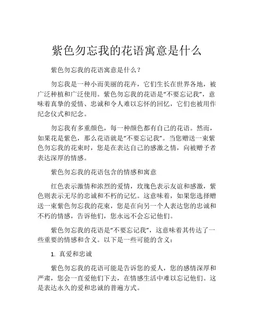 紫色勿忘我的花语寓意是什么
