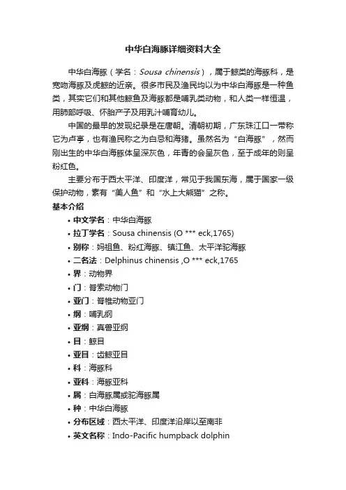 中华白海豚详细资料大全