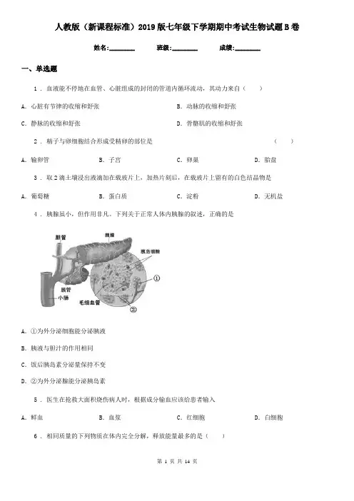 人教版(新课程标准)2019版七年级下学期期中考试生物试题B(练习)