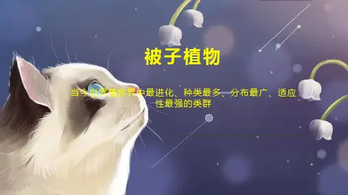 被子植物    