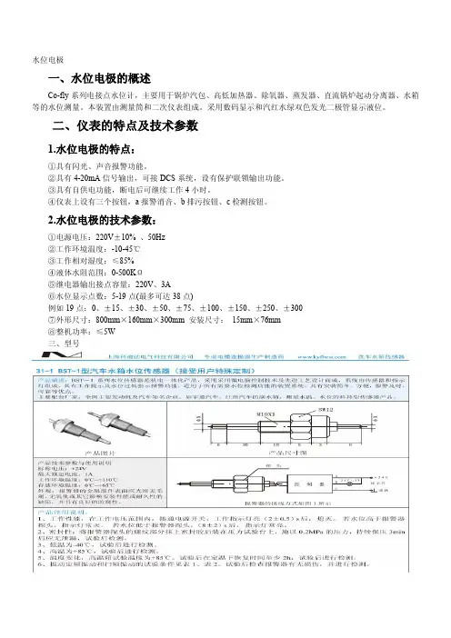水位电极,超高纯水位电极,锅炉水位电极,电极式水位传感器