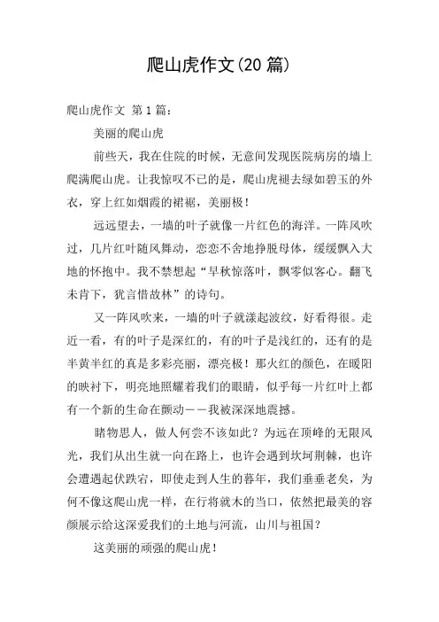 爬山虎作文(20篇)
