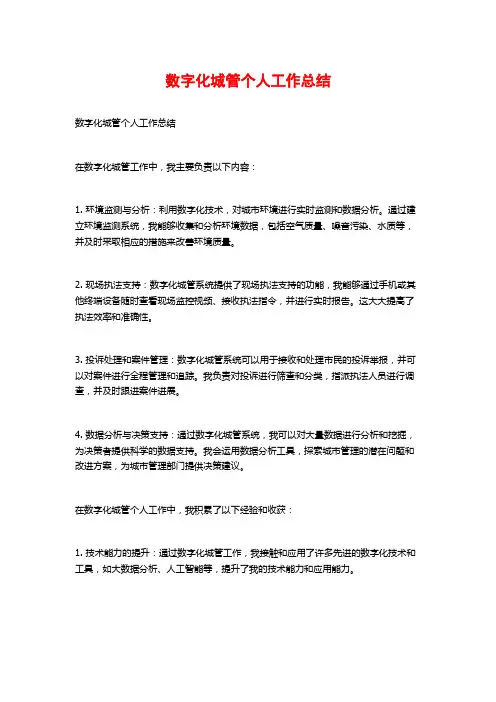 数字化城管个人工作总结