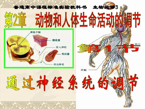 生物必修Ⅲ人教新课标2.1通过神经系统的调节课件(共30张)
