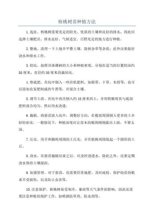 核桃树苗种植方法