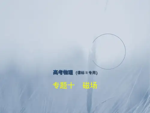 2018年高考物理课标Ⅱ专用复习专题测试专题十 磁场 共182张 精品