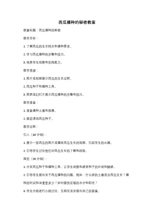 西瓜播种的秘密教案