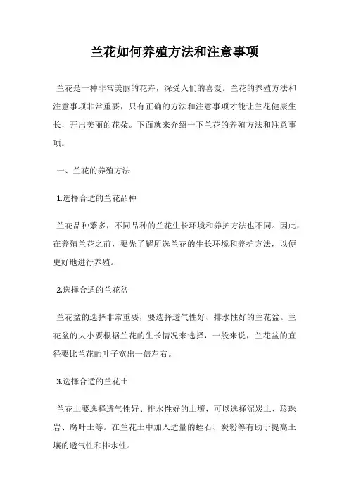 兰花如何养殖方法和注意事项