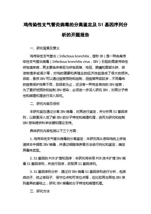 鸡传染性支气管炎病毒的分离鉴定及S1基因序列分析的开题报告