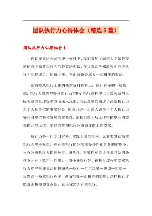 团队执行力心得体会(精选5篇)