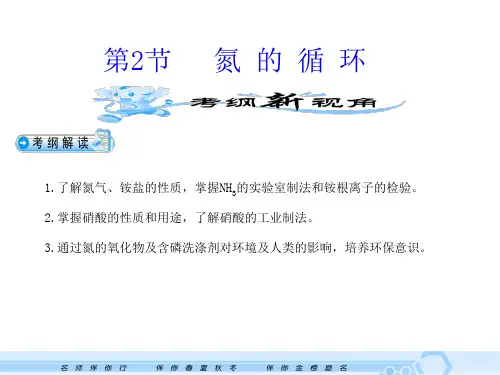 《第节氮的循环》PPT课件