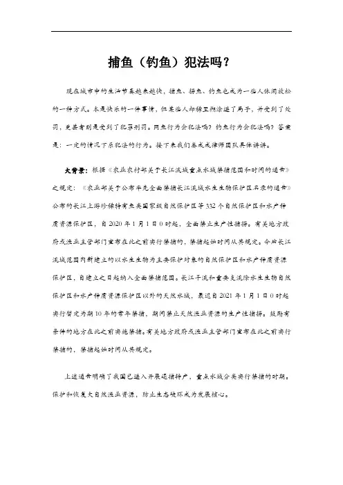 捕鱼钓鱼违法吗(附法律法规汇总)