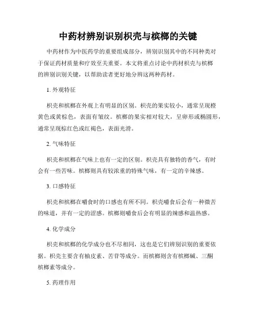中药材辨别识别枳壳与槟榔的关键