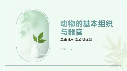动物的基本组织与器官
