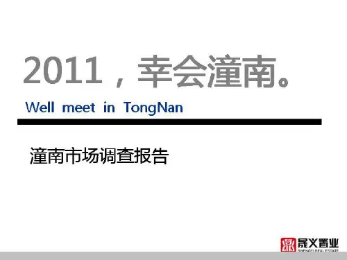 潼南市场调查报告 2019-42页