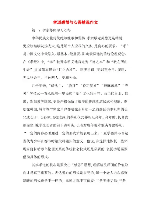 孝道感悟与心得精选作文