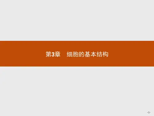 2018版高中生物人教版必修1课件：3.1 细胞膜——系统的边界