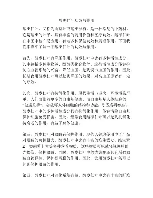 酸枣仁叶功效与作用