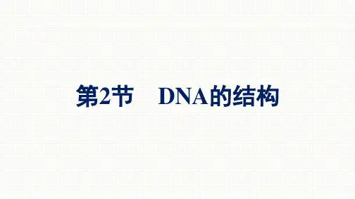 高中生物人教2019必修2第3章第2节DNA的结构
