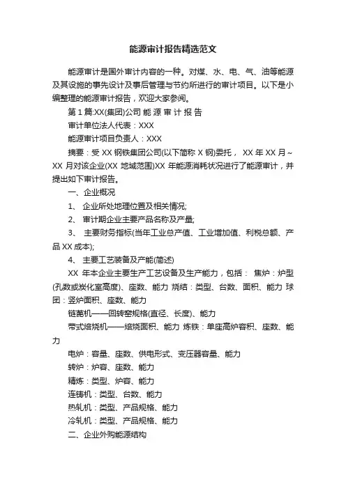 能源审计报告精选范文