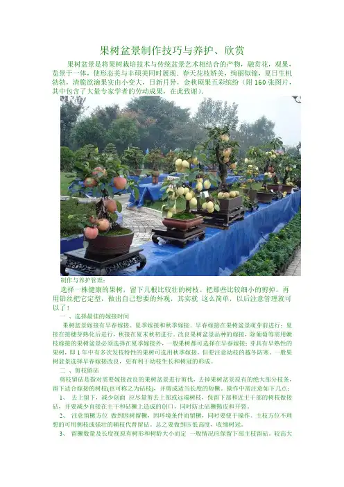 果树盆景制作技巧与养护欣赏