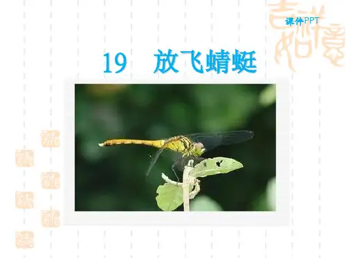 苏教版三年级下册19放飞蜻蜓 