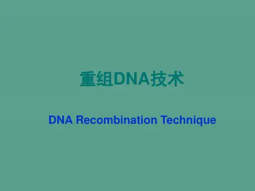 重组DNA技术ppt课件