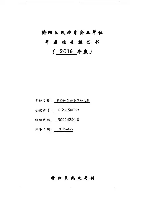 民办非企业单位年审报告