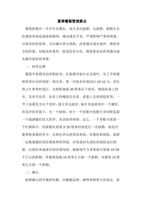 夏季葡萄管理要点