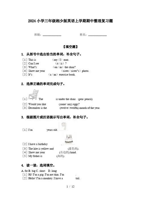 2024小学三年级湘少版英语上学期期中整理复习题