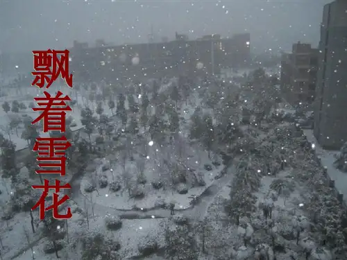 《看雪》1PPT课件