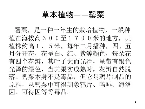 《刑事技术》(理化检验与毒物分析)课件2