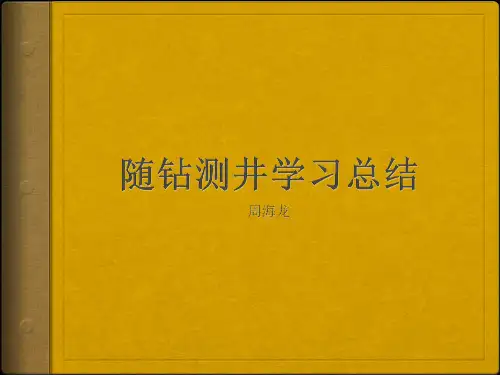 随钻测井
