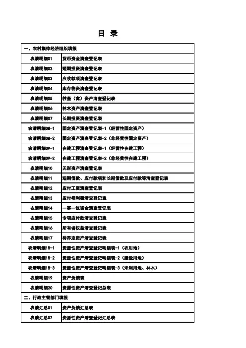 农村集体资产清产核资报表