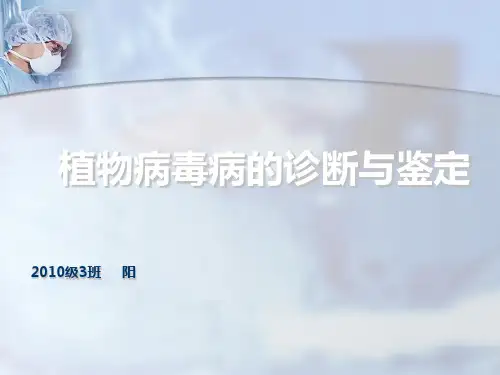 植物病毒病的诊断与鉴定ppt课件