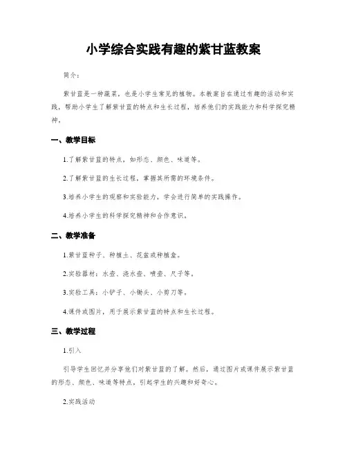 小学综合实践有趣的紫甘蓝教案
