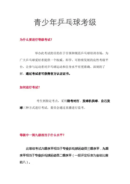 青少年乒乓球考级