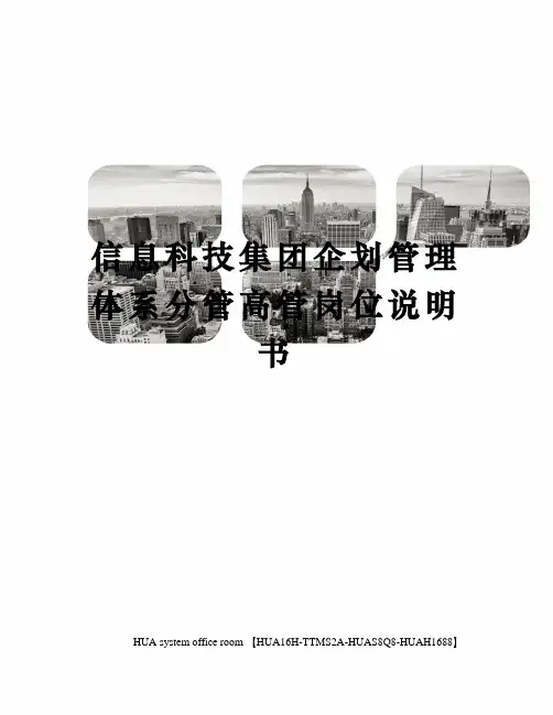 信息科技集团企划管理体系分管高管岗位说明书定稿版