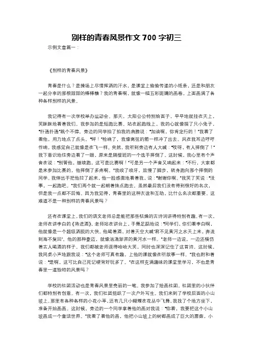 别样的青春风景作文700字初三